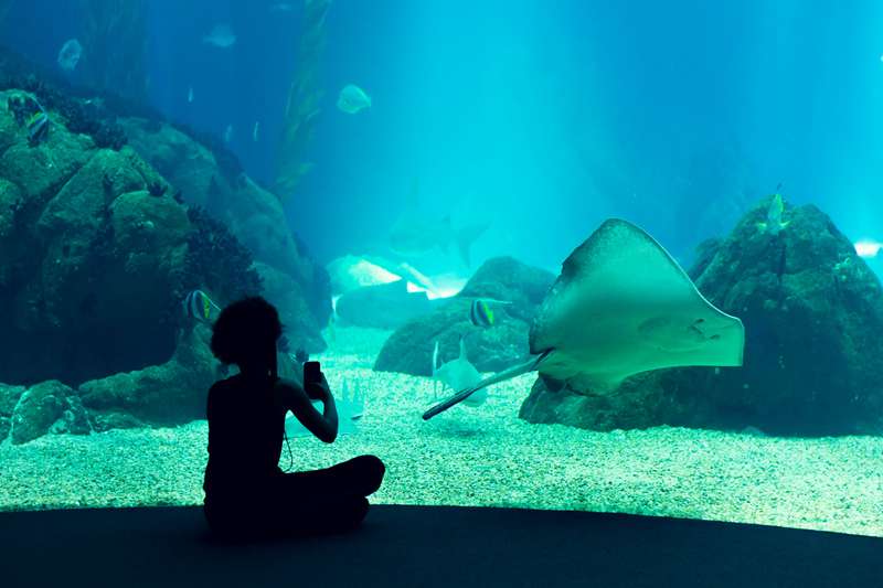 水族馆的玻璃是什么材料